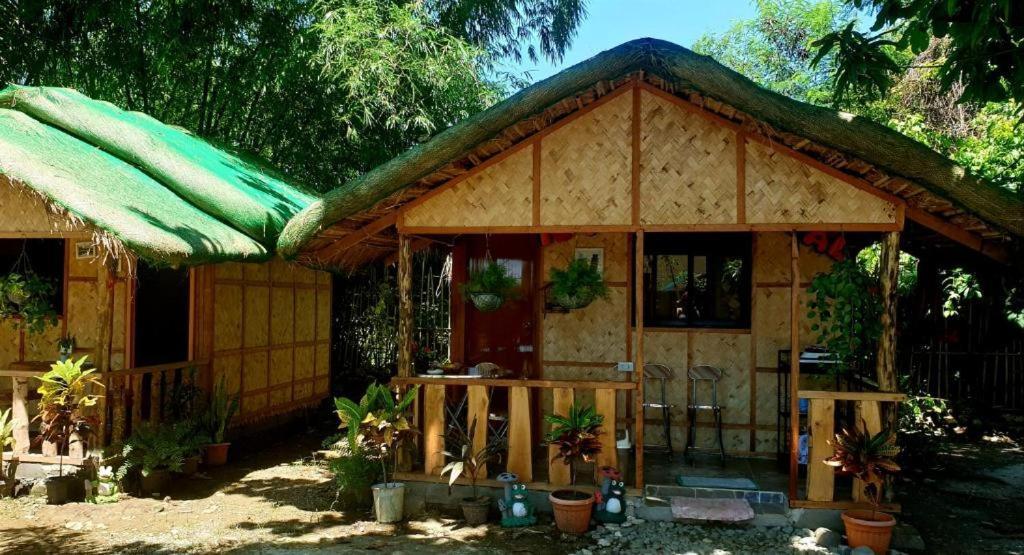 Traditional Filipino Transient House And Huts Near 100 Islands Wharf Alaminos Dış mekan fotoğraf