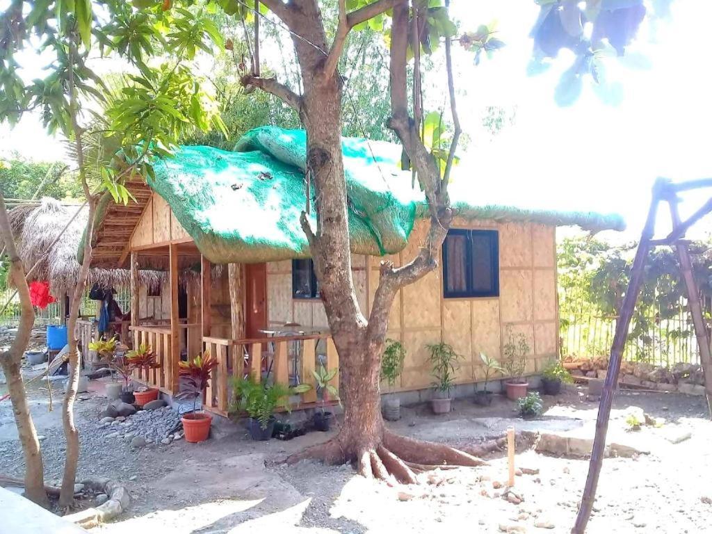 Traditional Filipino Transient House And Huts Near 100 Islands Wharf Alaminos Dış mekan fotoğraf