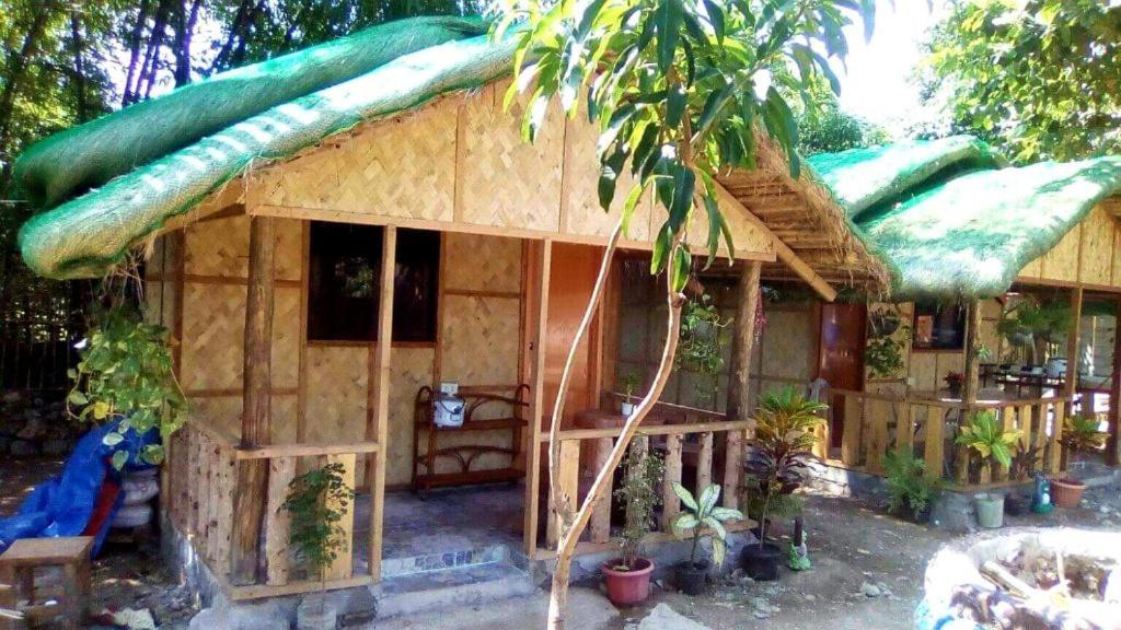Traditional Filipino Transient House And Huts Near 100 Islands Wharf Alaminos Dış mekan fotoğraf